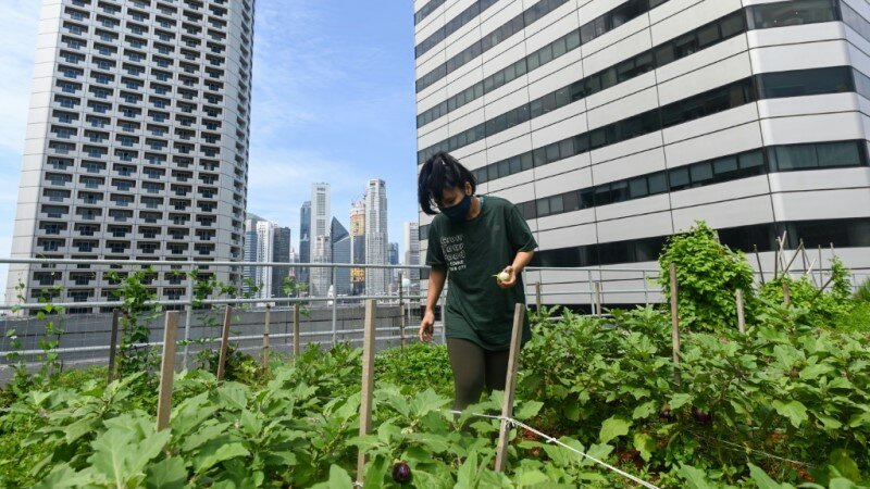 Zahrada na střeše mrakodrapu? V Singapuru nic neobvyklého ...